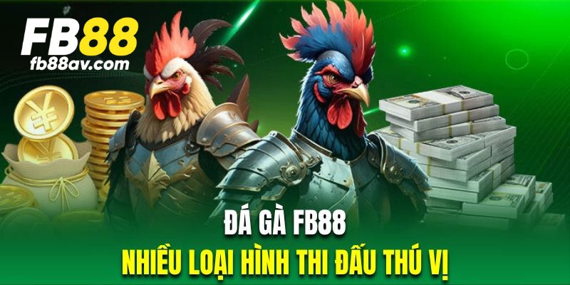 Sân chơi đá gà mang đến nhiều loại hình thi đấu thú vị