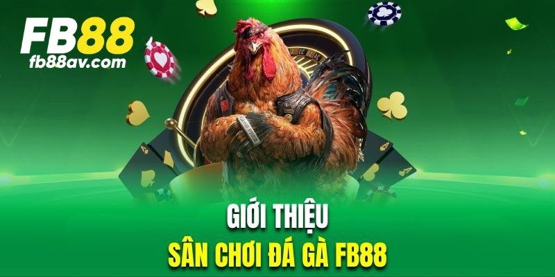 Trải nghiệm đá gà trực tuyến đặc sắc tại nhà cái FB88