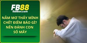 Nằm mơ thấy mình chết điềm báo gì? Nên đánh con số mấy